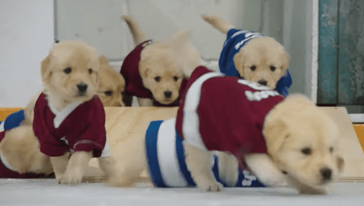 Screen Shot 2019-10-23 at 2.35.00 PM.png