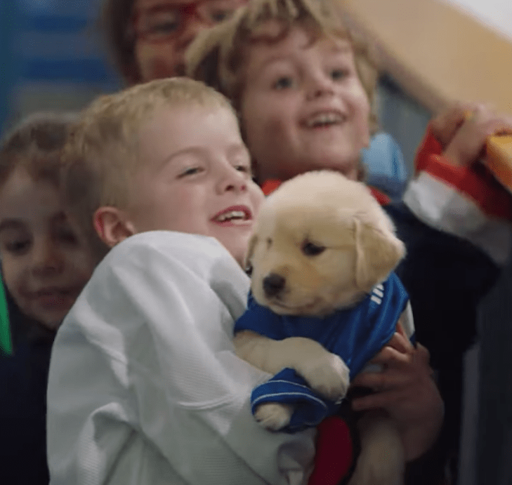 Screen Shot 2019-10-23 at 2.35.10 PM.png