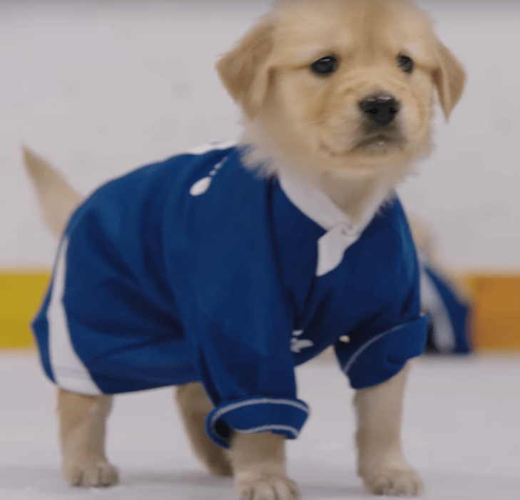 Screen Shot 2019-10-23 at 2.35.17 PM.png